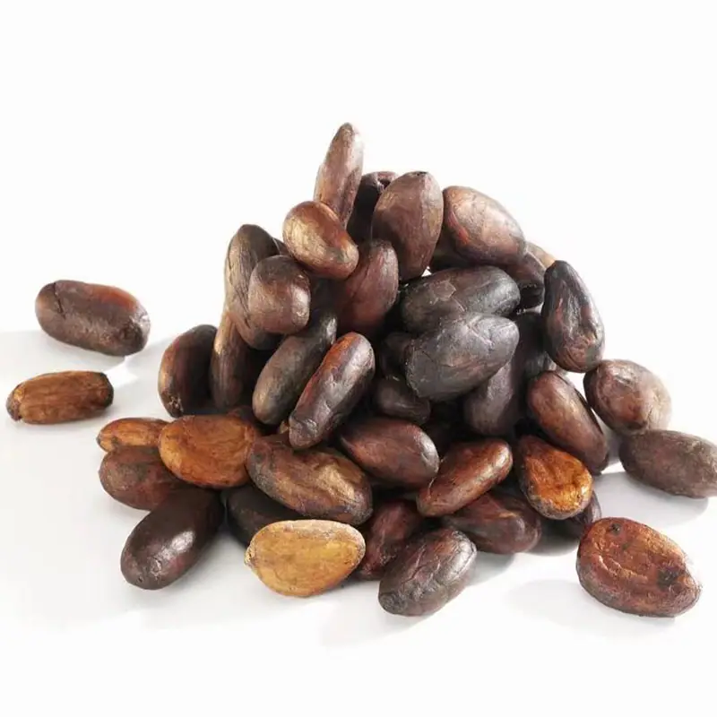 Cacao Color