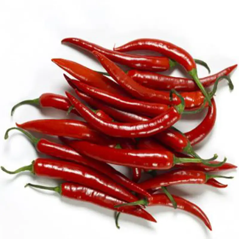Paprika Red