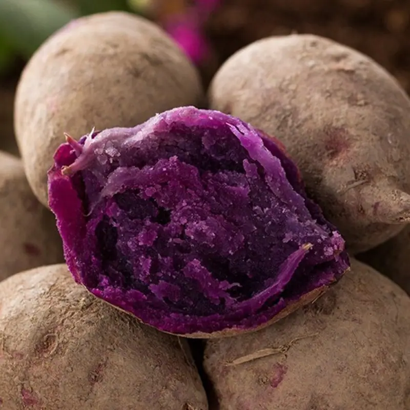 Purple Sweet Potato Color